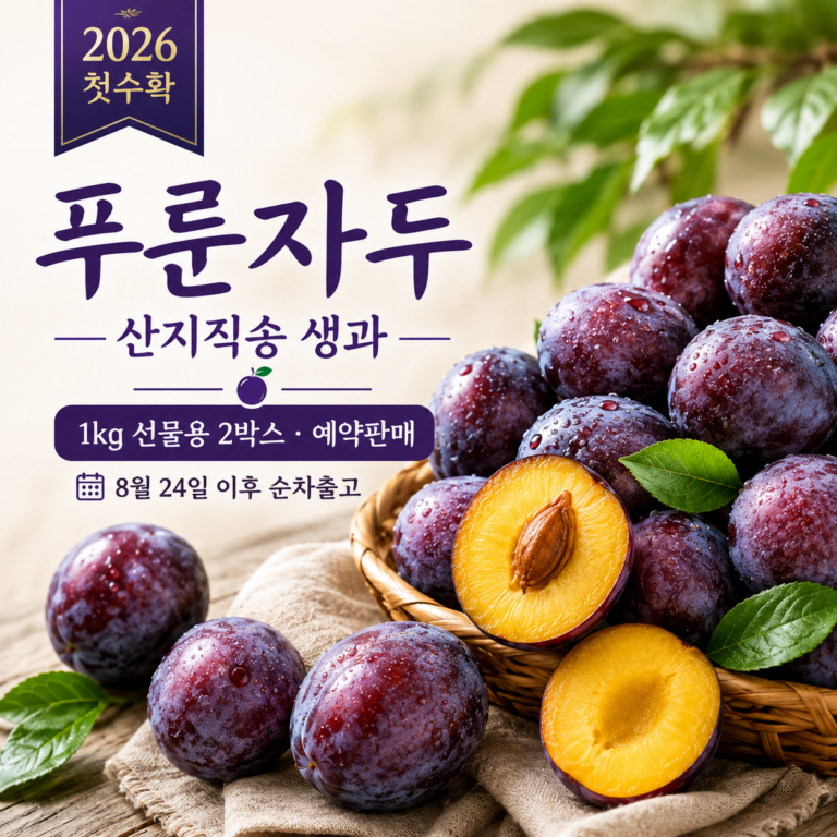 5만원대 추석 과일선물 2026 첫수확 푸룬자두 생과 2kg 산지직송 부모님 명절선물