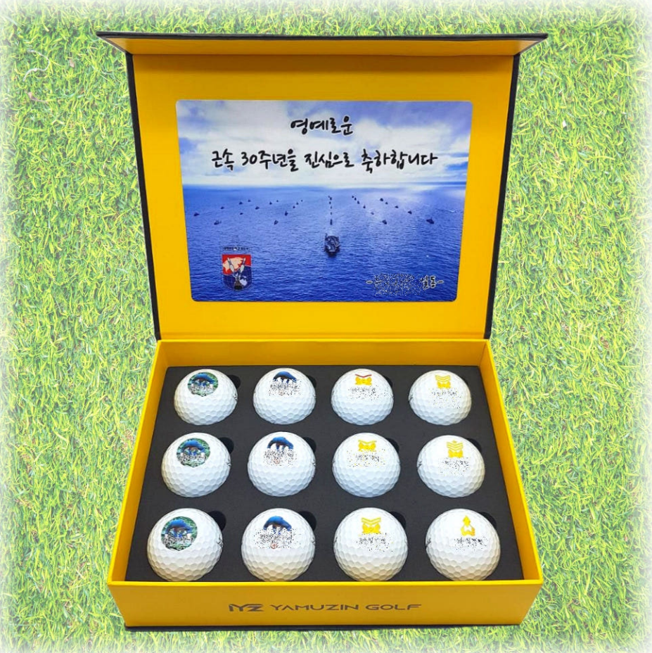 타이틀리스트 Pro V1 골프공 선물 12구 각인 홀인원 퇴직 기념품8739848809 제품 이미지